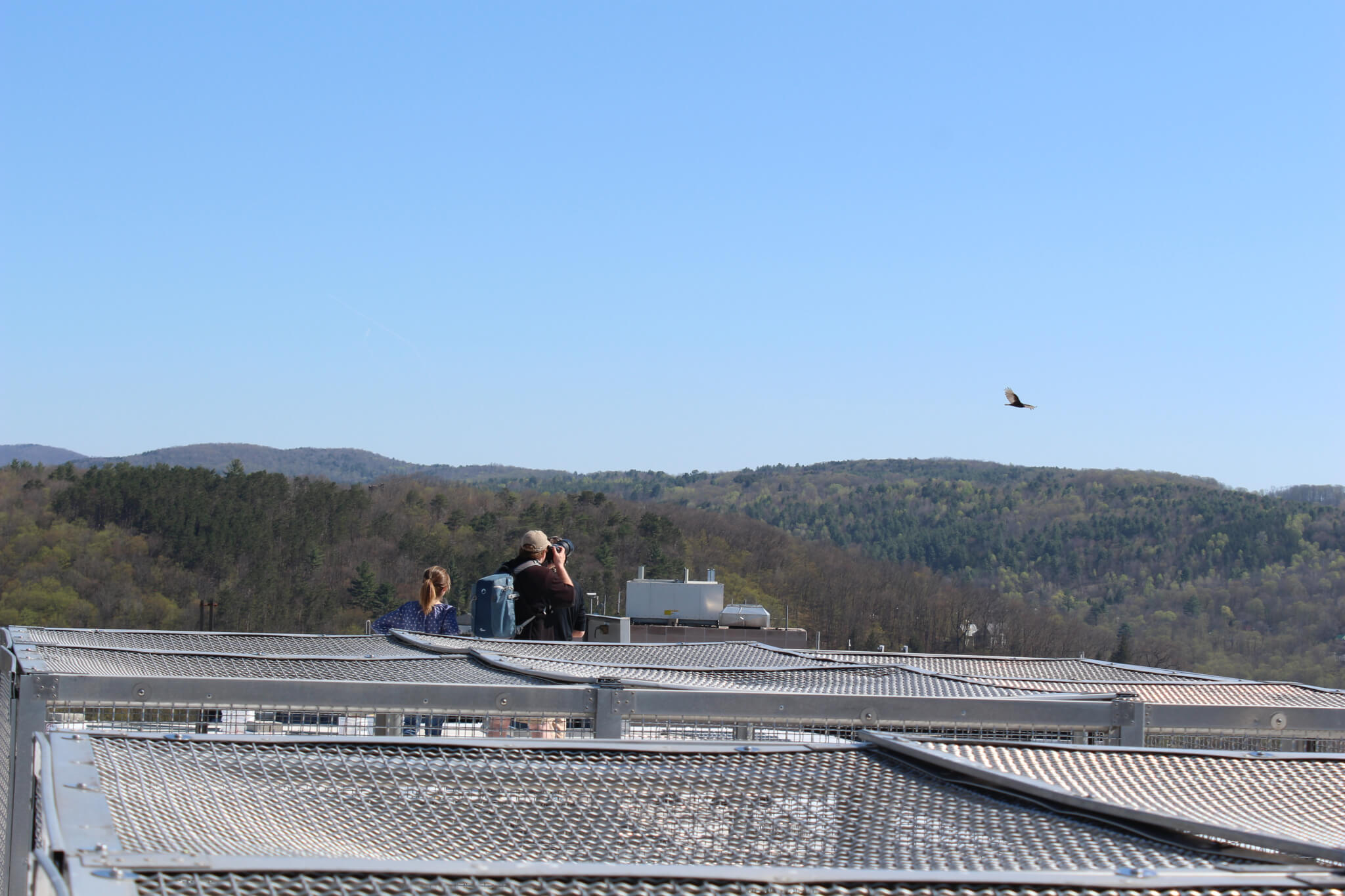 It’s A Bird. It’s A Plane. It’s…Radio Producers Looking For Birds!