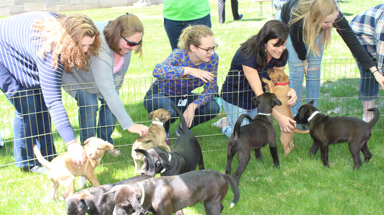 Eight Puppies Find Fur-ever Homes At National Life Adoption Event