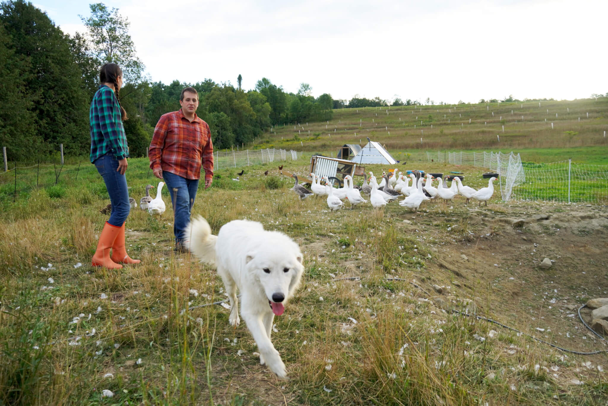 Morgan Gold Featured for his YouTube Channel Gold Shaw Farm Adventures